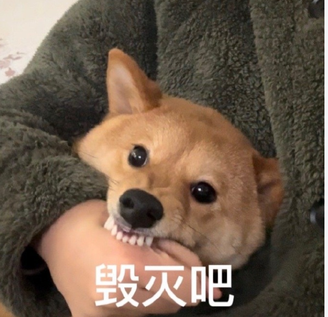666